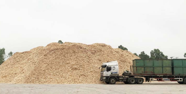 Wood Pellets Production process from the factory