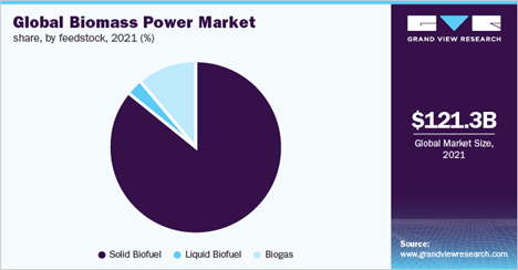 Biomass Power Market Size, Share & Trends Analysis Report